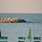 Vistamare Viserba Rimini