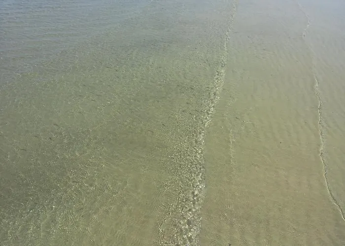 호텔 Vistamare Viserba 2*